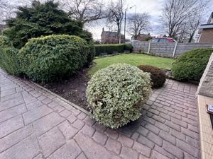 Front Garden- click for photo gallery
